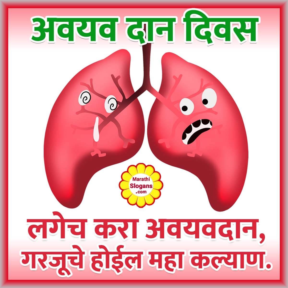 organ donation essay in marathi